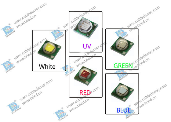1W - 3W 3535 SMD-LEIDENE Diode, Cree-spaander700ma Hoge Macht XP-e UVirl LEDs