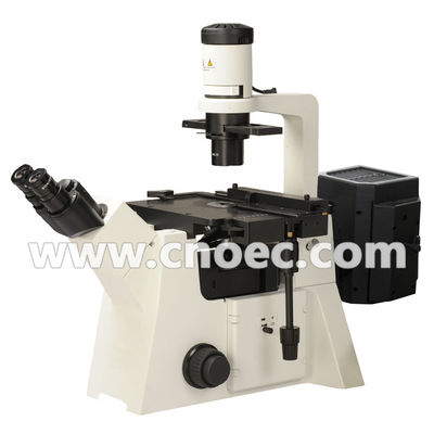 200X Epi - het Halogeenlamp van de Fluorescentiemicroscoop A16.2702 100X - 400X