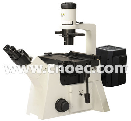 200X Epi - het Halogeenlamp van de Fluorescentiemicroscoop A16.2702 100X - 400X